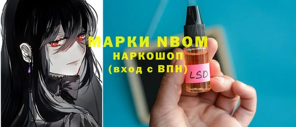 шишки Беломорск