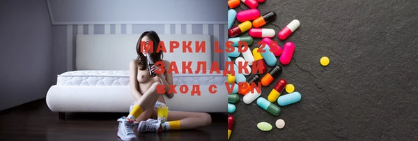 шишки Баксан