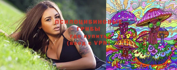 шишки Баксан