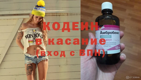 шишки Баксан