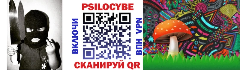 дарнет шоп  Ессентуки  Псилоцибиновые грибы MAGIC MUSHROOMS 